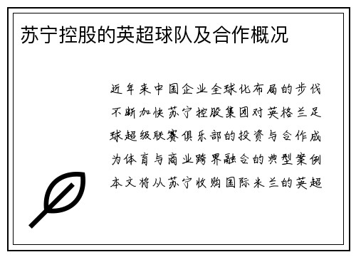 苏宁控股的英超球队及合作概况